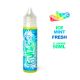 E-liquide Ice Mint 50ML Fruizee