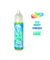 E-liquide Ice Mint 50ML Fruizee