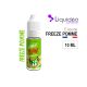 E-Liquide FREEZE POMME 10 ml LIQUIDEO