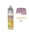 AGRUMES E-LIQUIDE 50ML BIG JUICE