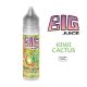 KIWI CACTUS E-LIQUIDE 50ML BIG JUICE