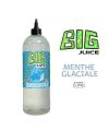 E-LIQUIDE MENTHE GLACIALE 1 LITRE - BIG JUICE