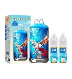POD RECHARGEABLE - FALCON X 2800 JNR - BLUEBERRY POMEGRANATE ICE