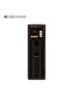 Q1 Chargeur d'accu Li-on...