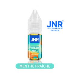 E-LIQUIDE JNR FRESH MINT 10ml