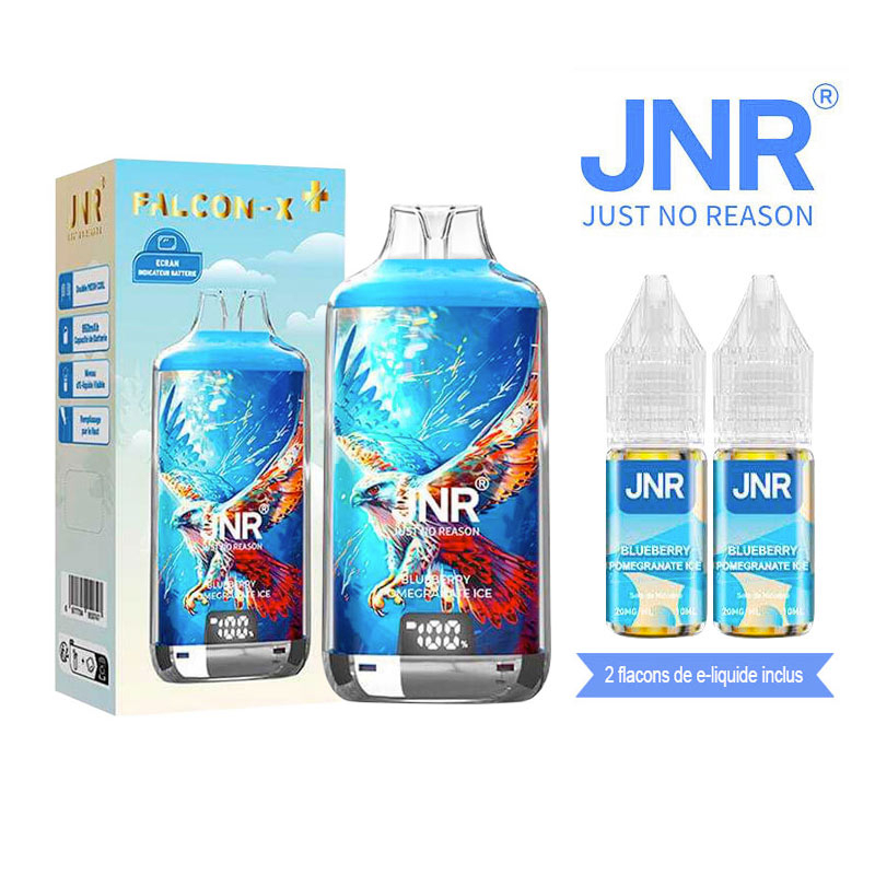 POD RECHARGEABLE - FALCON X 28000 BLUEBERRY POMEGRANATE ICE - JNR