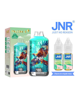 POD RECHARGEABLE - FALCON X 28000 MANGO PASSION FRUIT - JNR