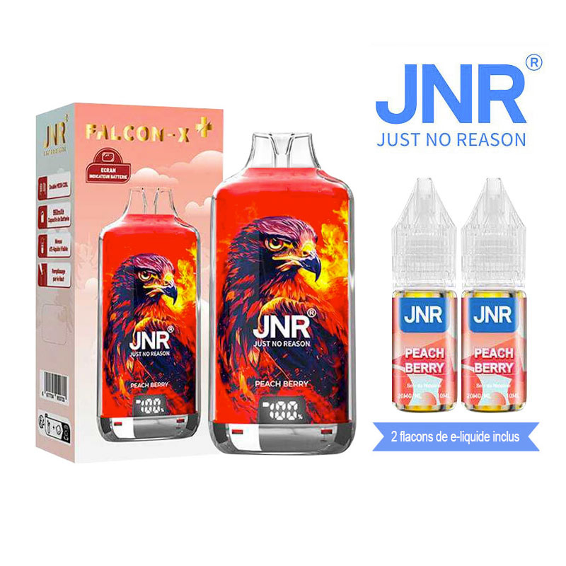 POD RECHARGEABLE - FALCON X 28000 PEACH BERRY - JNR