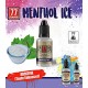 ADDITIF DIY E-liquide MENTHOL ICE 10 ML  - 77 FLAVOR